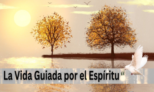 Miniatura del curso